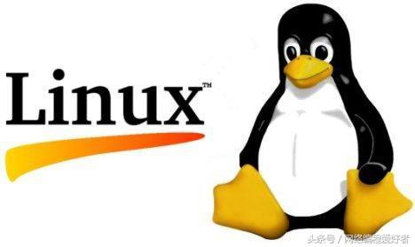 linux搭建dhcp服务器_linux中搭建svn服务器_linux虚拟机中dhcp服务器搭建