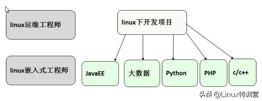 linux系统版本_linux系统版本查看命令_linux操作系统的版本