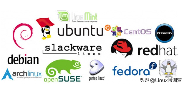 linux系统版本查看命令_linux操作系统的版本_linux系统版本