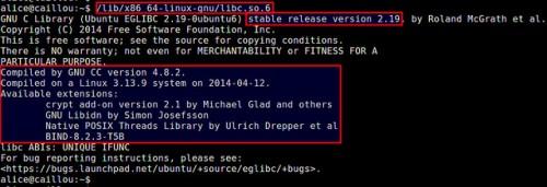 在Linux系统中检查glibc版本信息的方法