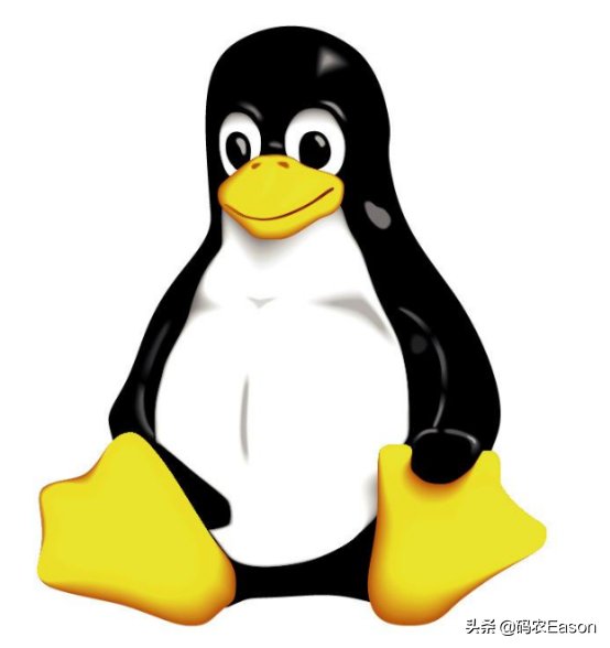 linux系统是什么样的_趣谈linux系统_linux系统长啥样