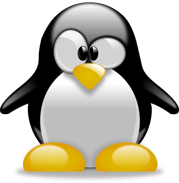 linux系统谁发明的_发明系统小说_发明系统的人